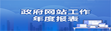 年度报表.png